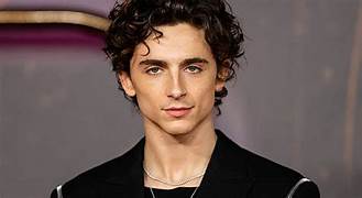 Now:- TIMOTHEE CHALAMET IS THE RISING SUPERSTAR IN HOLLYWOOD!!!