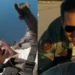 During a skydive, Tom Cruise praises 'Top Gun