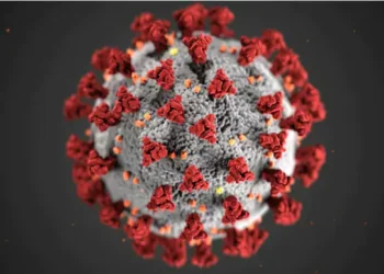 New Delhi: भारत ने चीन जैसे उछाल से बचने के लिए दिए उपाय