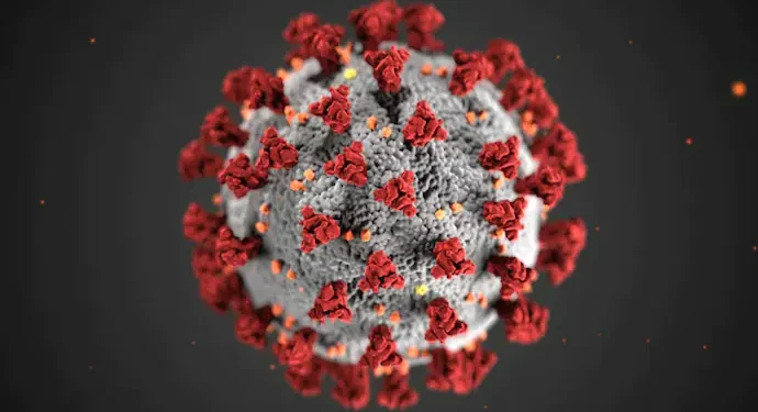 New Delhi: भारत ने चीन जैसे उछाल से बचने के लिए दिए उपाय