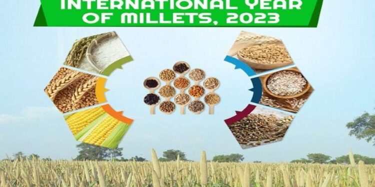 EXCLUSIVE: UN ने घोषित किया 2023 को ‘इंटरनेशनल ईयर ऑफ मिलेट’