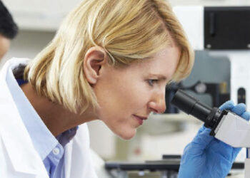 Researchers reveal a cellular mechanism that regulates aging and fertility