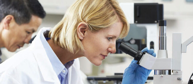 Researchers reveal a cellular mechanism that regulates aging and fertility