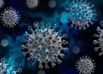 Covid-19: 265 new cases reported in India in India