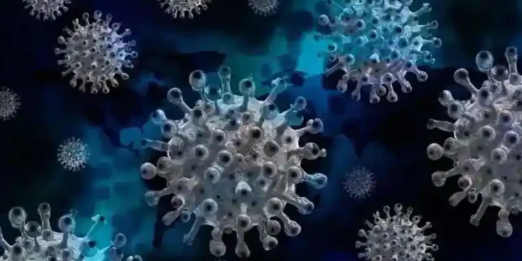 Covid-19: 265 new cases reported in India in India