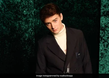 Exclusive:- Stranger Things Actor Noah Schnapp Revealed that he is Gay