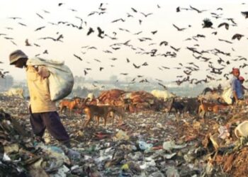 Exclusive- NGT fines Delhi gov for poor waste management