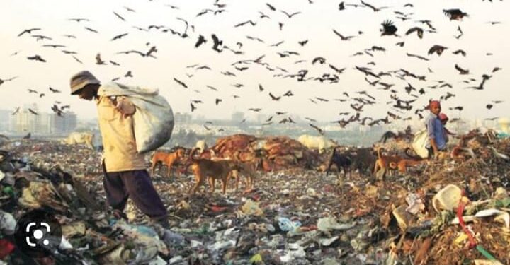 Exclusive- NGT fines Delhi gov for poor waste management