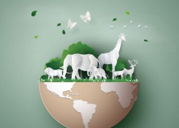 World wildlife Day celebrate on 3rd march