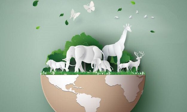 World wildlife Day celebrate on 3rd march