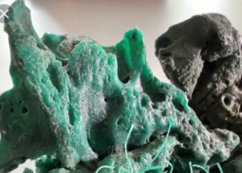 Exclusive :- Plastic Rock Found on Trindade Island