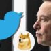 Twitter’s blue bird logo change to ‘Dogo’