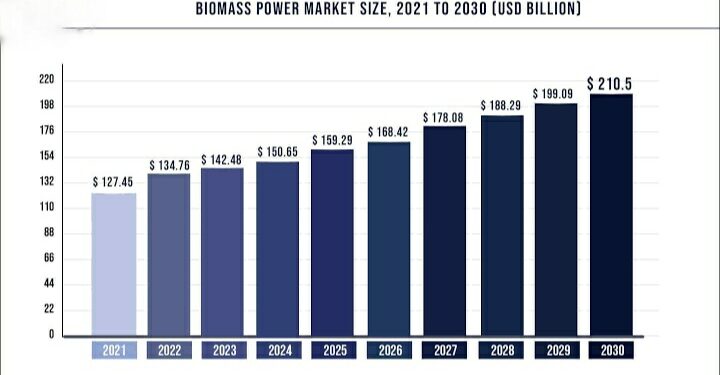 Market Research on Biomass Industry