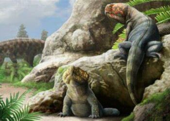 This odd reptile is related to ancient both crocodiles and birds