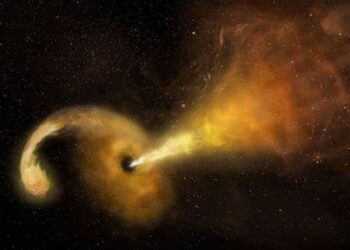 Nearer to Earth Than Ever Before: Astronomers Detect Black Hole Devouring a Star