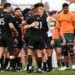 New Zealand All Blacks came up victorious in a thrilling Bledisloe Cup hassle against the Australian Wallabies