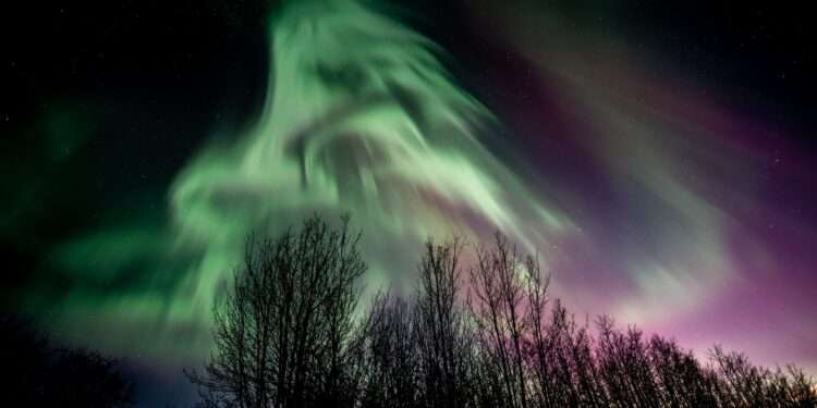 Northern lights painted sky