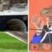 Sela Tunnel: PM Inaugurates Longest Bi-line Tunnel in the World