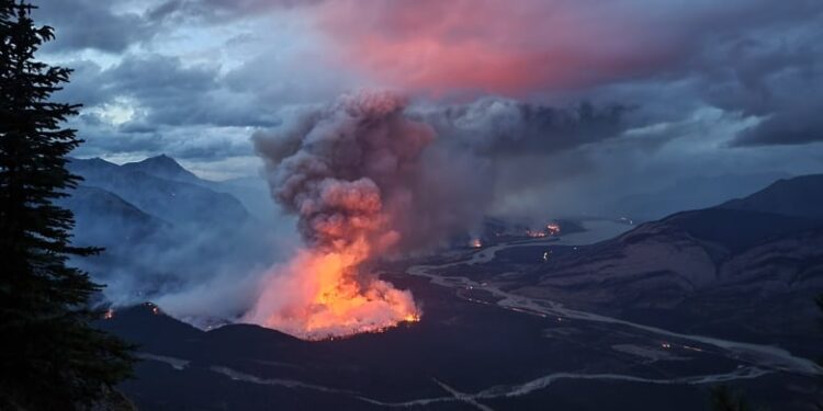 Emergency Declared as Fire Breaks Out in Jasper National Park
