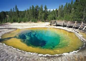 After Jasper incident now Yellowstone stays on the line