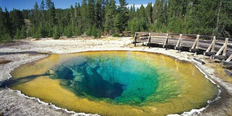 After Jasper incident now Yellowstone stays on the line